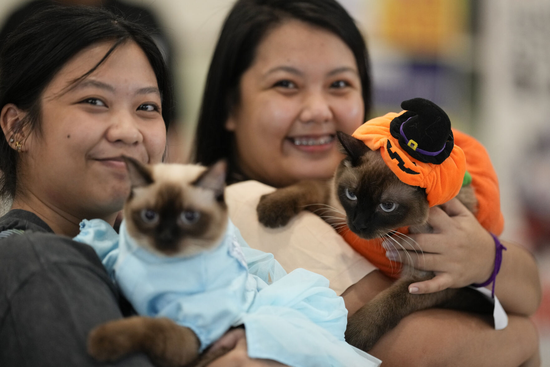 Philippines Halloween Animals